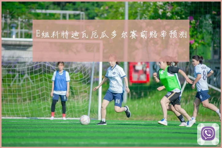 E组科特迪瓦厄瓜多尔赛前赔率预测