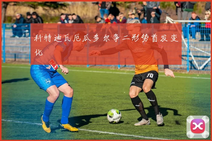 科特迪瓦厄瓜多尔争二形势首发变化