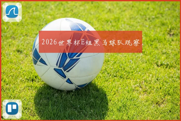 2026世界杯E组黑马球队观察