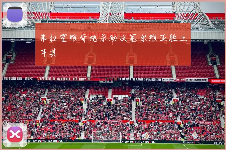 弗拉霍维奇绝杀助攻塞尔维亚胜土耳其