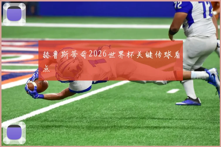 赫鲁斯蒂奇2026世界杯关键传球看点