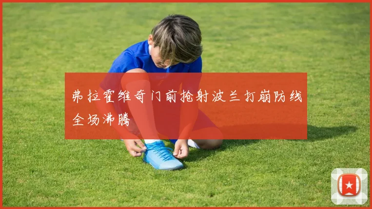 弗拉霍维奇门前抢射波兰打崩防线全场沸腾