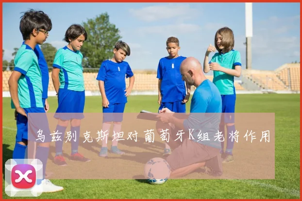 乌兹别克斯坦对葡萄牙K组老将作用