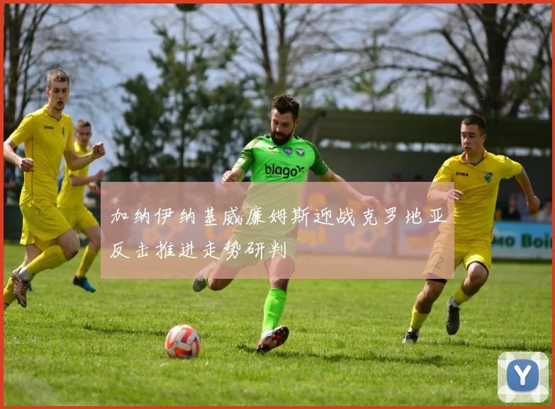 加纳伊纳基威廉姆斯迎战克罗地亚反击推进走势研判