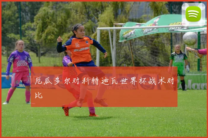 厄瓜多尔对科特迪瓦世界杯战术对比