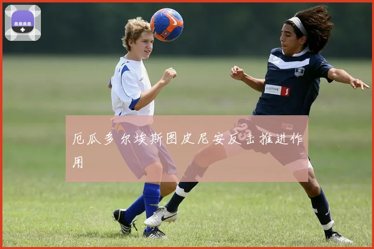 厄瓜多尔埃斯图皮尼安反击推进作用