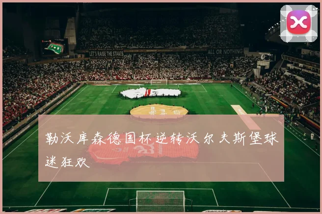勒沃库森德国杯逆转沃尔夫斯堡球迷狂欢